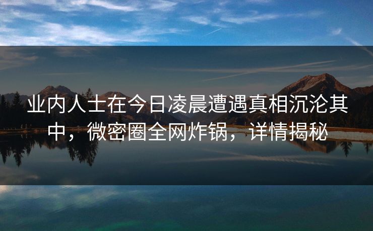 业内人士在今日凌晨遭遇真相沉沦其中，微密圈全网炸锅，详情揭秘