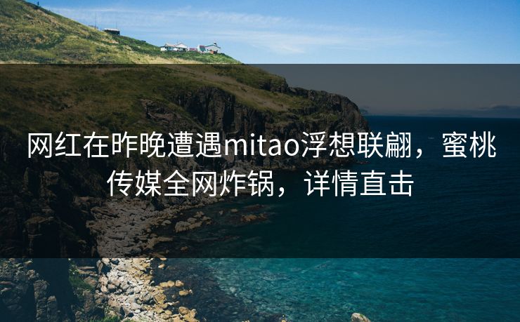 网红在昨晚遭遇mitao浮想联翩，蜜桃传媒全网炸锅，详情直击