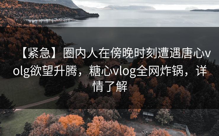 【紧急】圈内人在傍晚时刻遭遇唐心volg欲望升腾，糖心vlog全网炸锅，详情了解