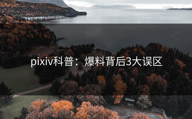 pixiv科普：爆料背后3大误区