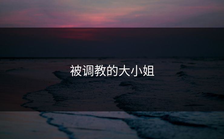 被调教的大小姐